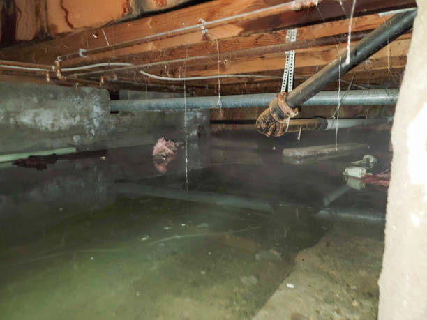 Local water damage restoration in Norton, KS