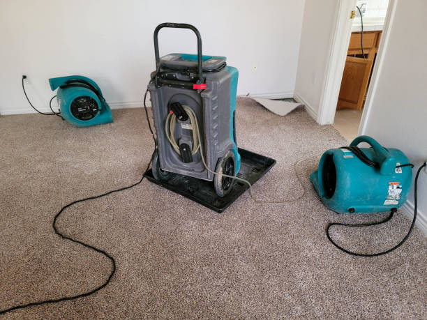 Best Local water damage restoration  in Norton, KS