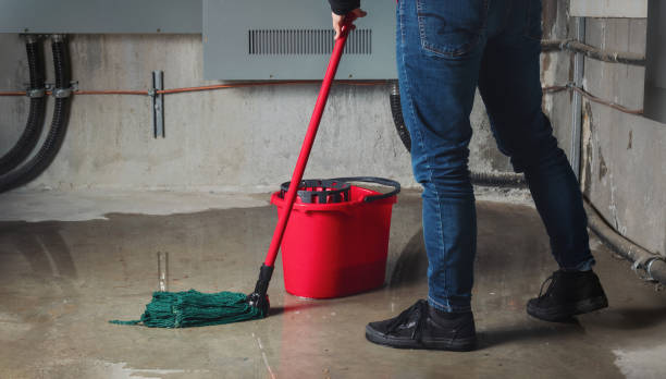 Best Residential water damage restoration  in Norton, KS