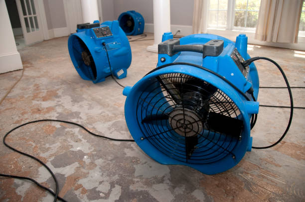 Best Commercial water damage restoration  in Norton, KS