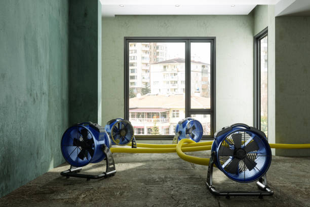 Best Water damage contractors near me  in Norton, KS